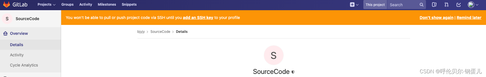 You won‘t be able to pull or push project code via SSH until you add an ...