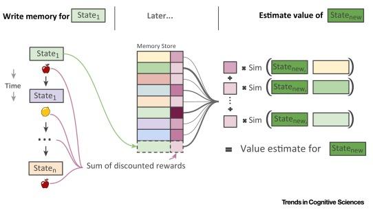 DeepMind 综述深度强化学习：智能体和人类相似度竟然如此高！
