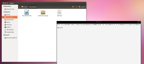 GNOME Sushi previewing a txt file