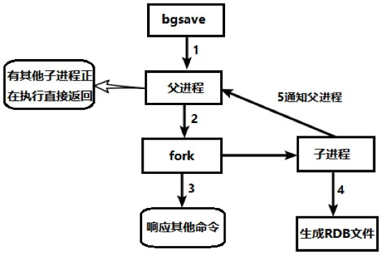 image-20211216111809861