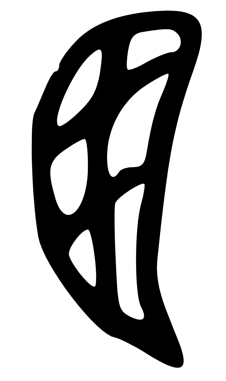 羽