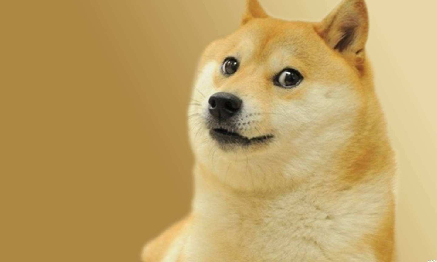f0710bd0ee0b9de256950e4f19ebb85f.png