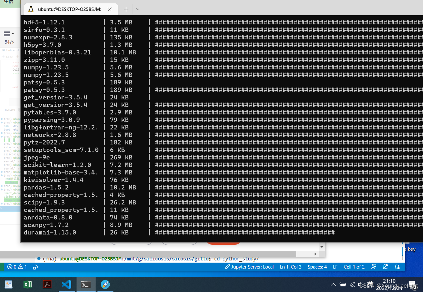 vscode +Jupyter+子系统 python实战 windows系统下运行python写代码 windows子系统 window下 ...