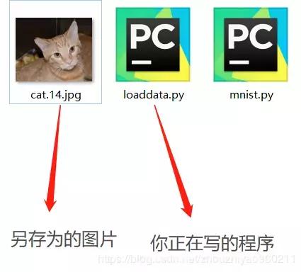 a51801771e81ebbb5d0acfecca276e76.png