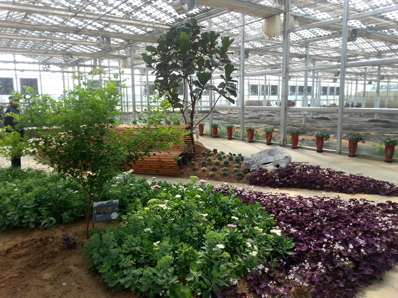 玻璃温室建造工程中不容忽视的桁架结构