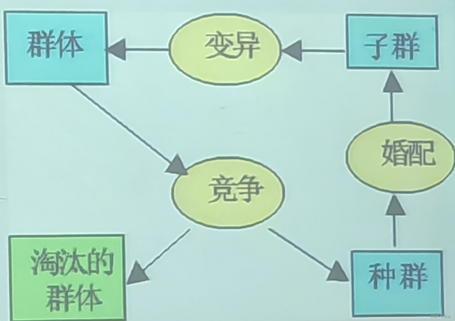 ff7909a5825047aa97599c67603bc489.jpg