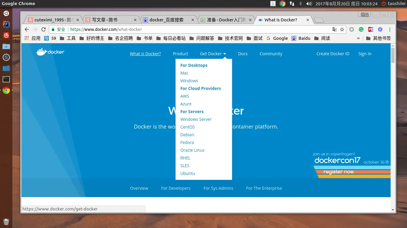 官网的教程.png