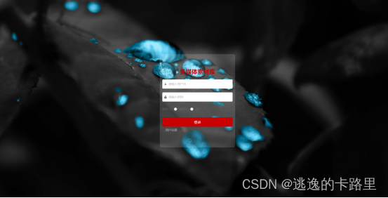 图5-1管理员登录界面