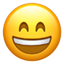 2ef77b2e5aff7a988ad844db2300d95e.png