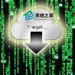 Linux系统中wget命令操作实例