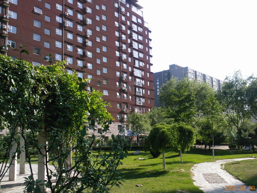 WinCE6.0双雄 酷派N900/魅族M8对比评测