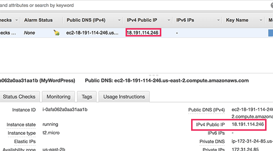 Your WordPress site's public IP address