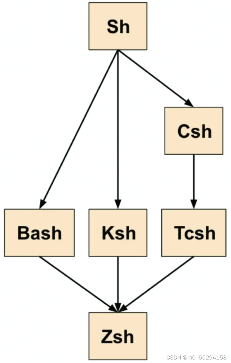 Shell命令行详解：自动化任务与脚本编写-CSDN博客