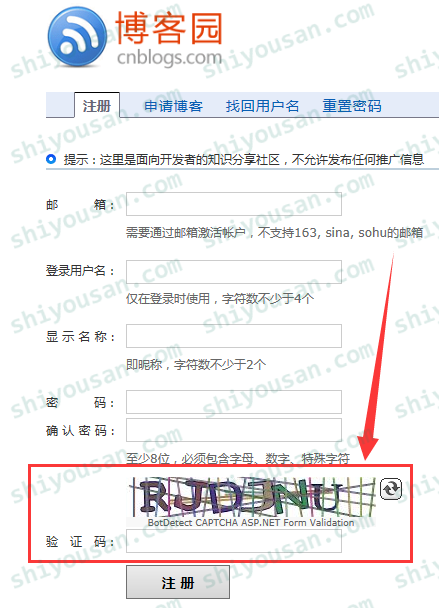 使用插件的网站截图