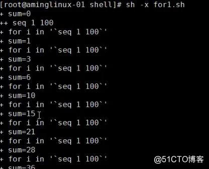 shell3
