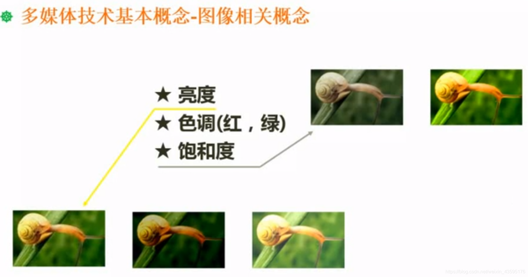 图像相关概念1