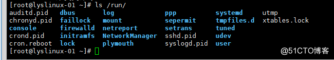 Linux系统目录结构