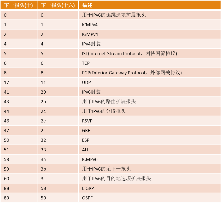 IPv6 地址格式及报文详解 | IPv4 与 IPv6 协议解析与报文对比插图29 img