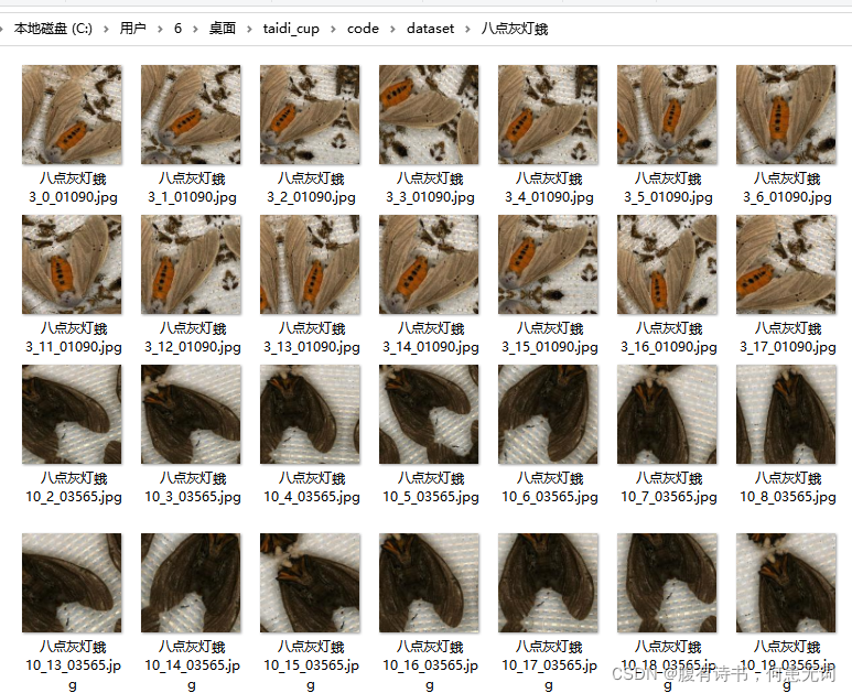 在这里插入图片描述