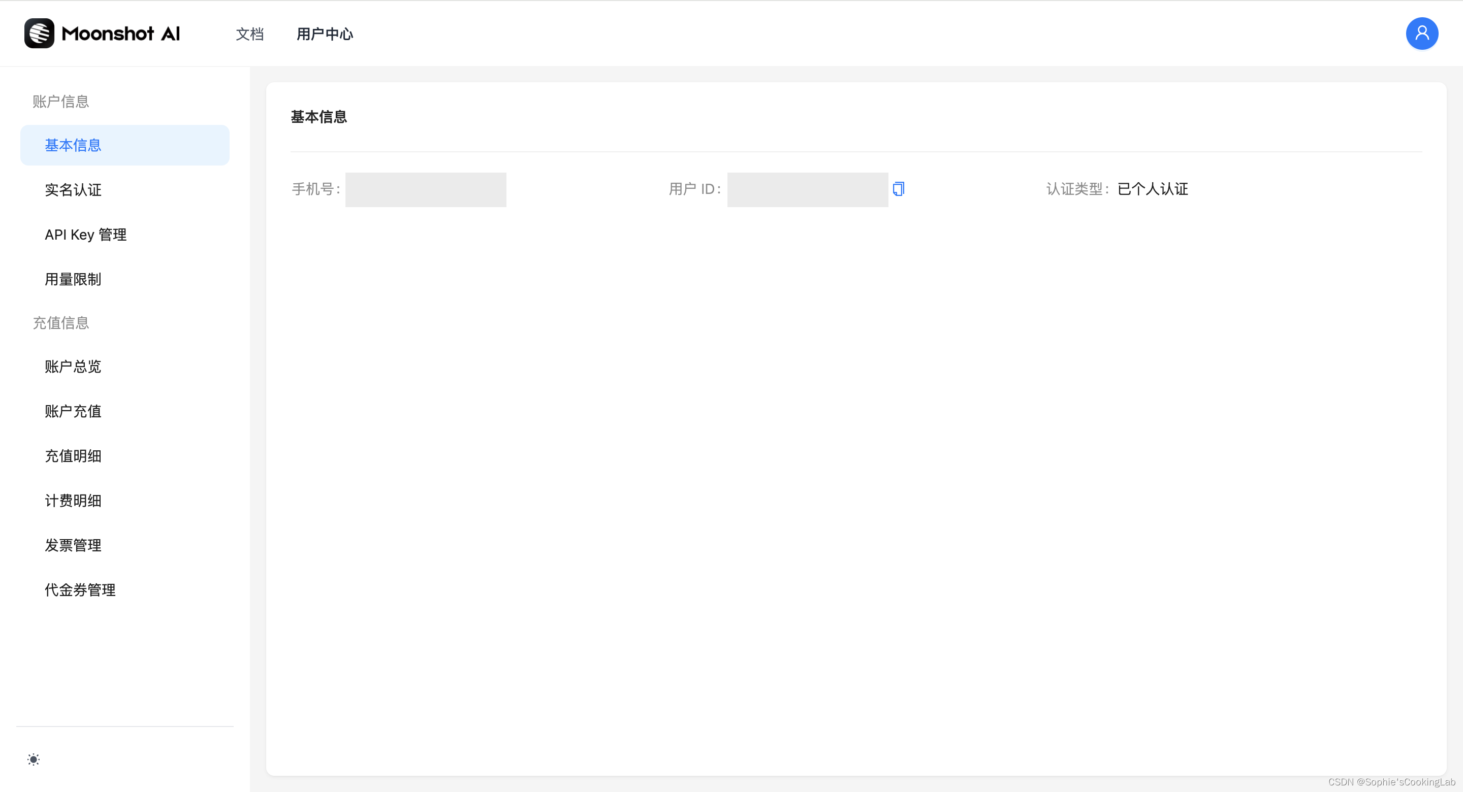 Moonshot AI API使用(1)-获取MOONSHOT_API_KEY_moonshotai-CSDN博客