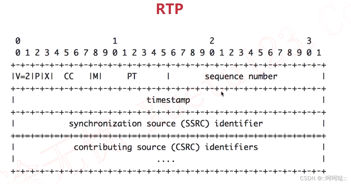 Udp Asyncronous Rtp 13. UDP协议与RTP协议_rtp和udp-CSDN博客