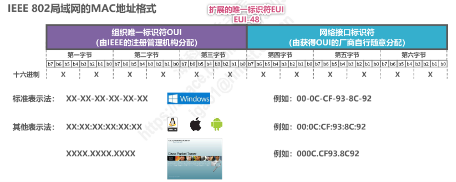 image-20230213223819943