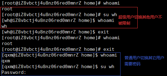 image-20230314162116972