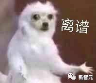 63cb31561d74b4beae67130c461f40f8.png