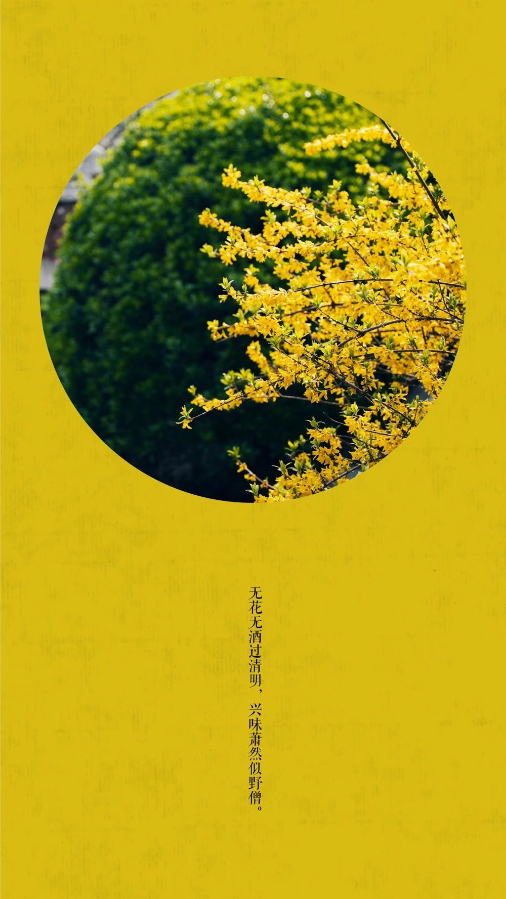 a07369d97a55f6d19964f4c608f67f52.png