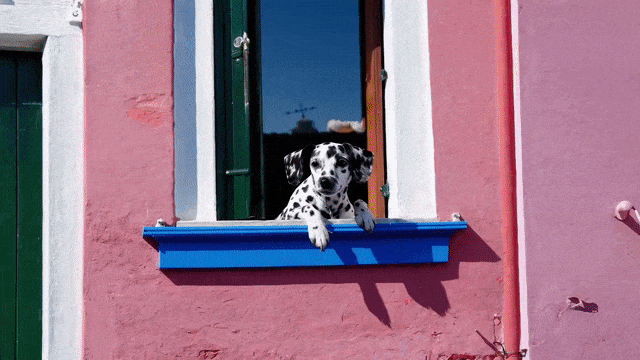 6b2aec391a43f6d021dd555aea8ef9f4.gif