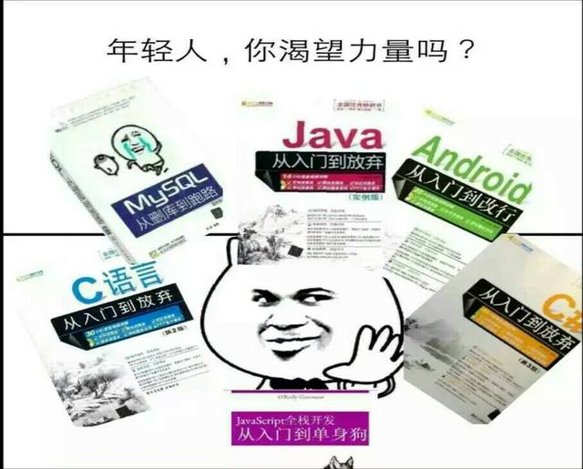 程序猿的崛起，一篇文章看懂编程语言