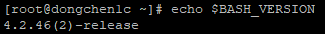 打印当前 Bash 的版本