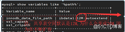 mysql扩容共享表空间