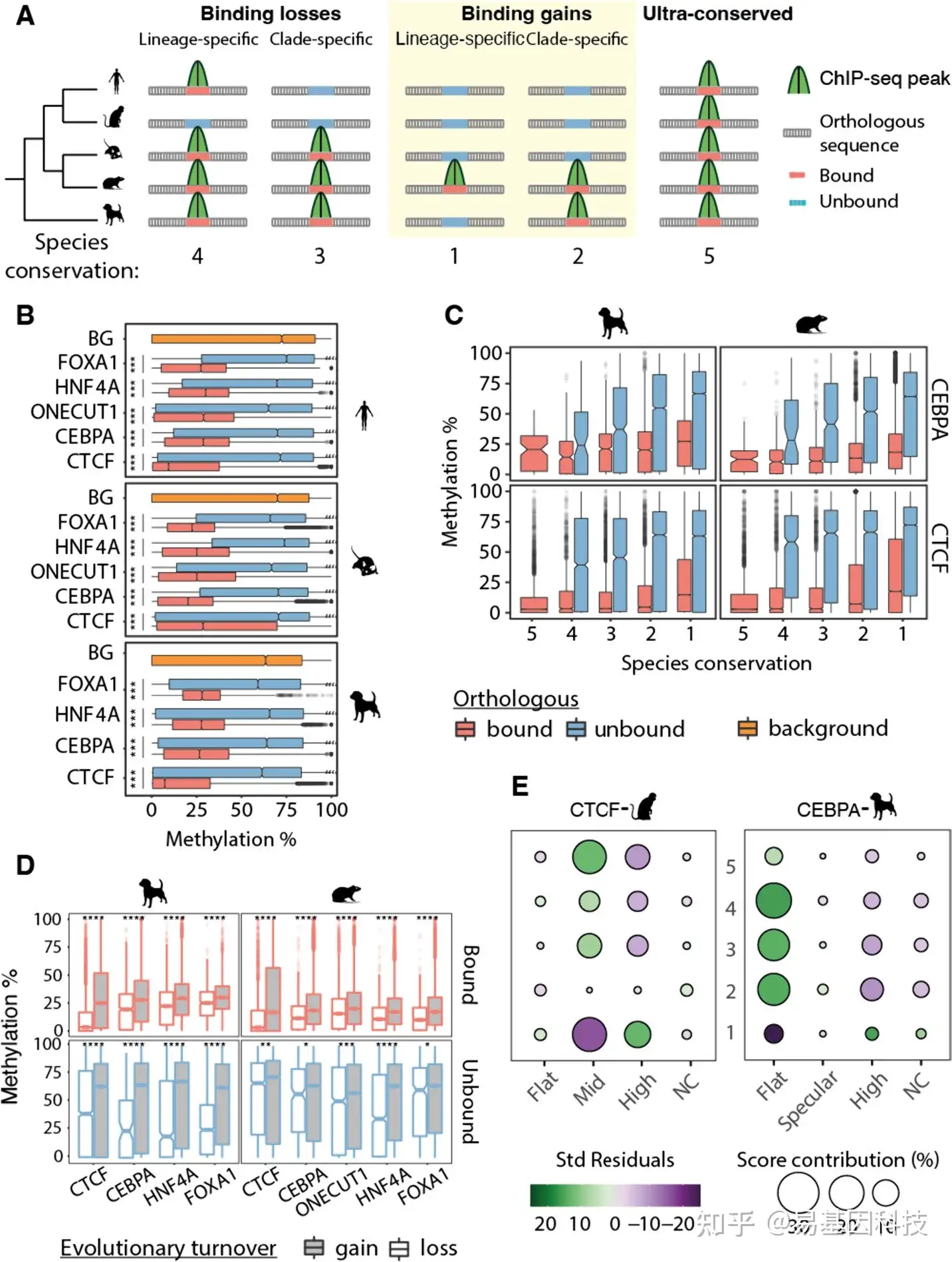 易基因：表观基因组分析揭示转录因子结合区DNA甲基化表征其功能和进化背景 | 研究速递_表观基因组测序 分析报告-CSDN博客