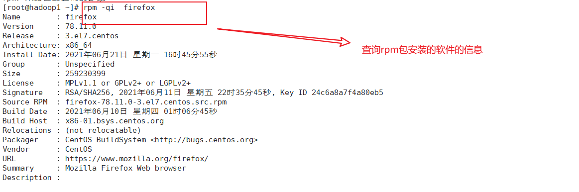 image-20210623205954028