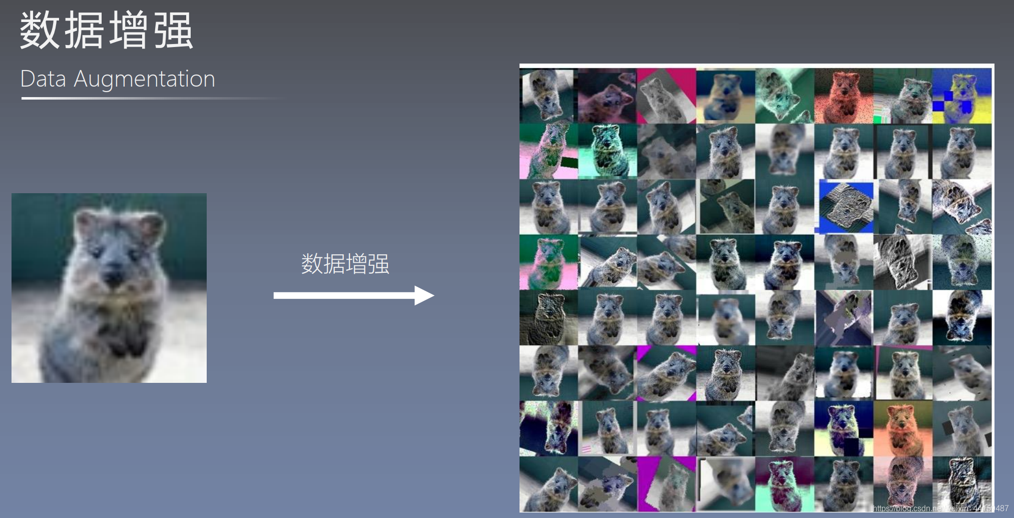 22种transforms数据预处理方法_transforms数据增强-CSDN博客