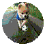 7d5e407676cd074194ed5ad915b764d5.gif