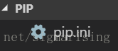 pip