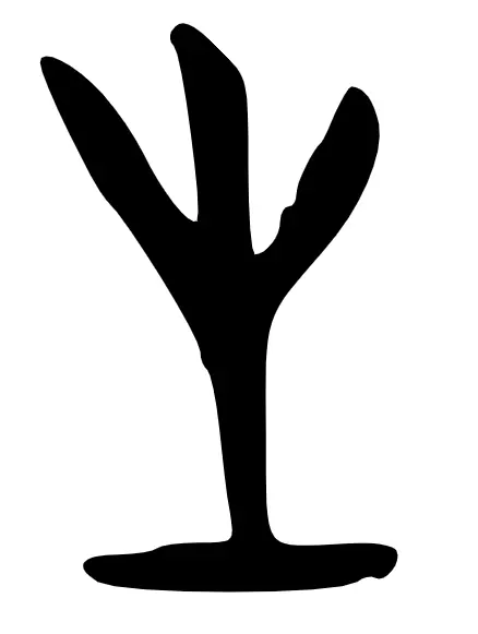 生