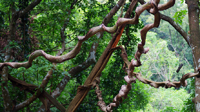 罗浮山自驾小结