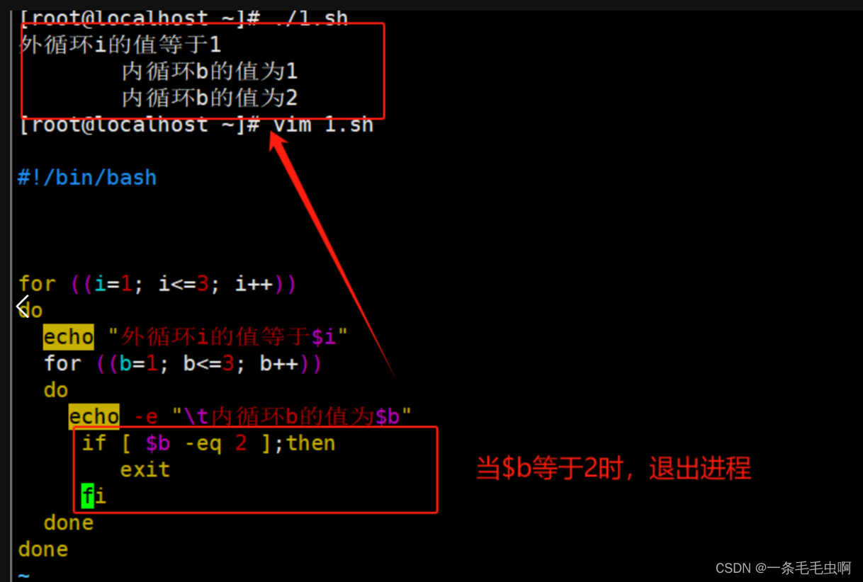 shell编程之循环语句_shell脚本无限循环执行命令-CSDN博客