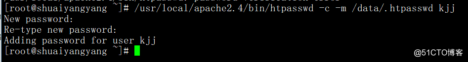 Apache用户认证、域名跳转、Apache访问日志