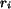 $r_i$