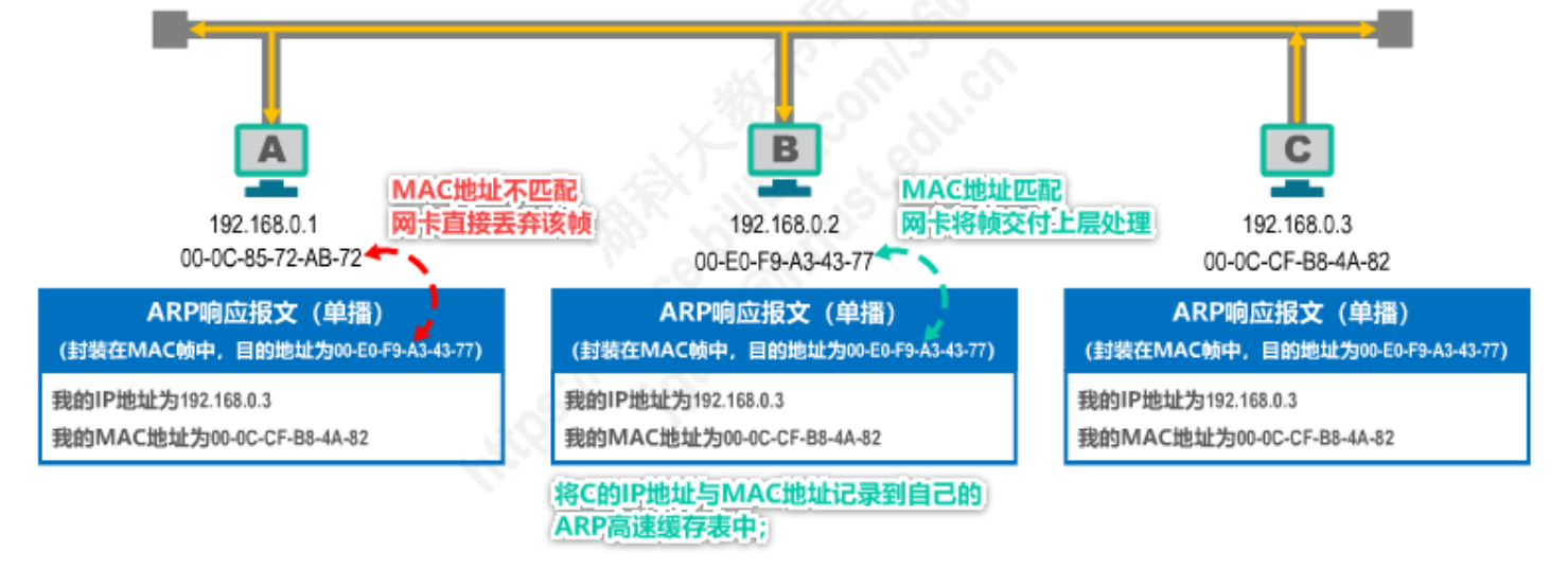 image-20230213231330067