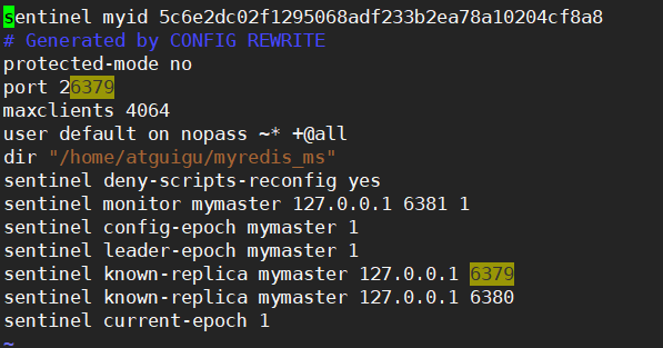 image-20201216213217541