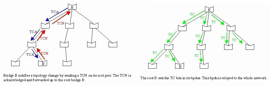 tcn_bpdu