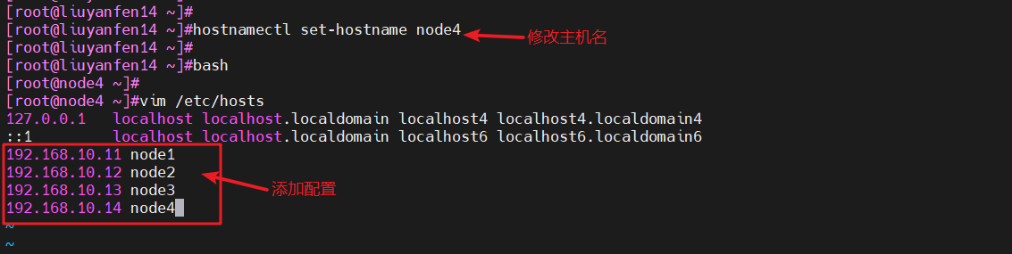 image-20240409134417258