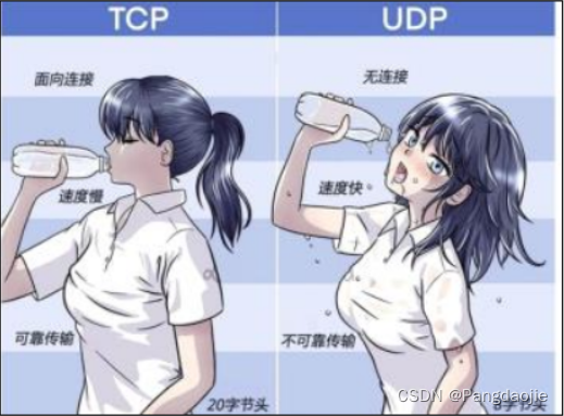 UDP数据传输特点与结构解析-CSDN博客
