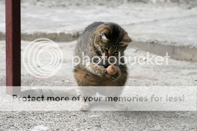 点击在新窗口中查看该图片