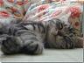x1pIjpkUX-8gH9ArBFME2DmlCcpv9ta0NlKb0gjIUPudQjyoY-NtvsB_4_JYG6lEza1d7u4EvXBmAzoScrQBAlK9-ZLbparVotvkfzCrHswLWo